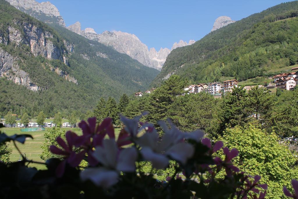 Garni Lago Alpino モルヴェーノ 部屋 写真